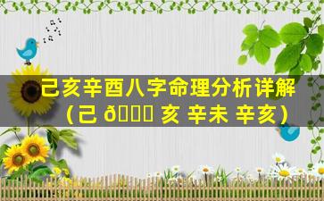 己亥辛酉八字命理分析详解（己 🐈 亥 辛未 辛亥）